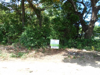Lot 55 Rio Nuevo Terrace, St. Mary, Jamaica - Residential lot for Sale